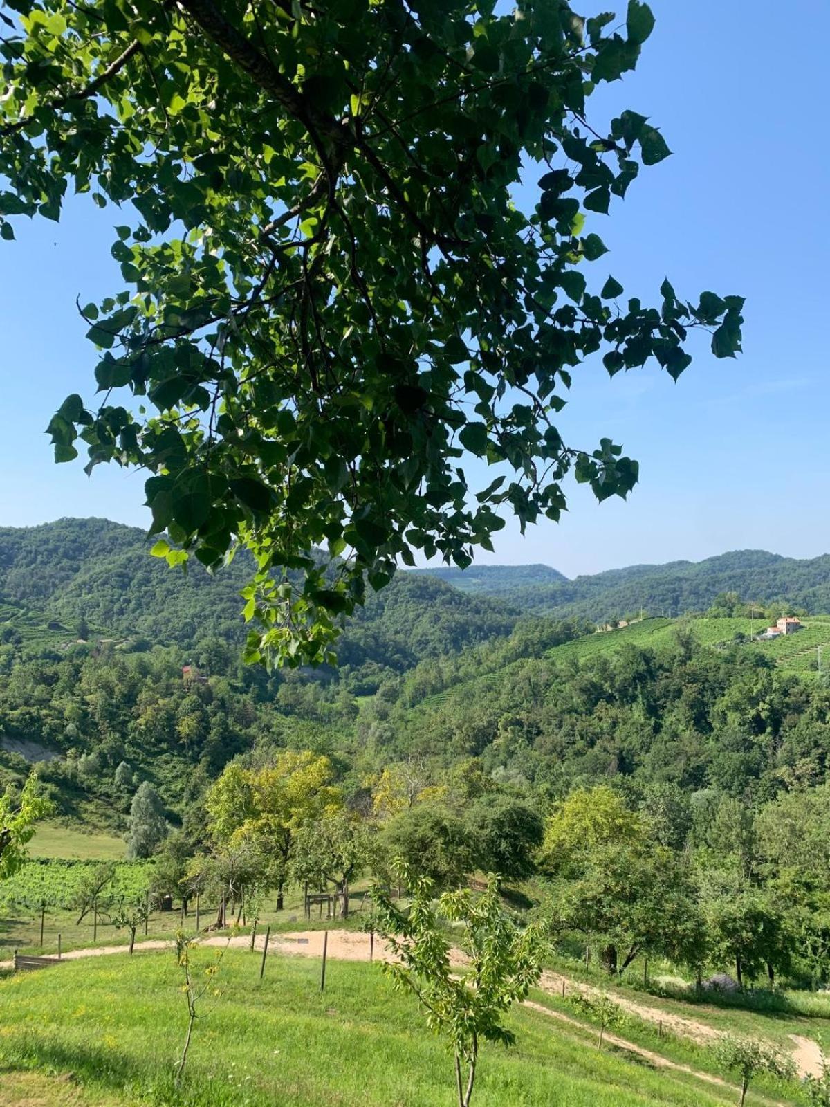Agriturismo Le Noci Tarzo Dış mekan fotoğraf