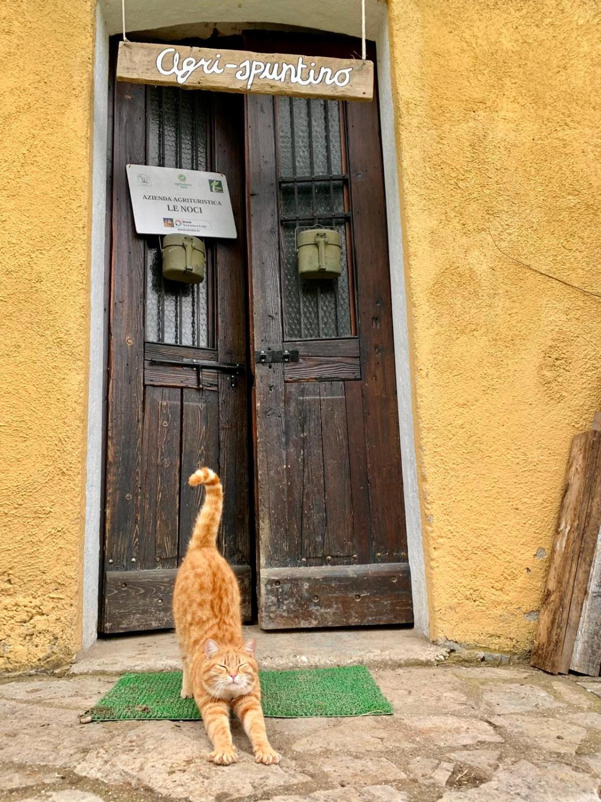 Agriturismo Le Noci Tarzo Dış mekan fotoğraf
