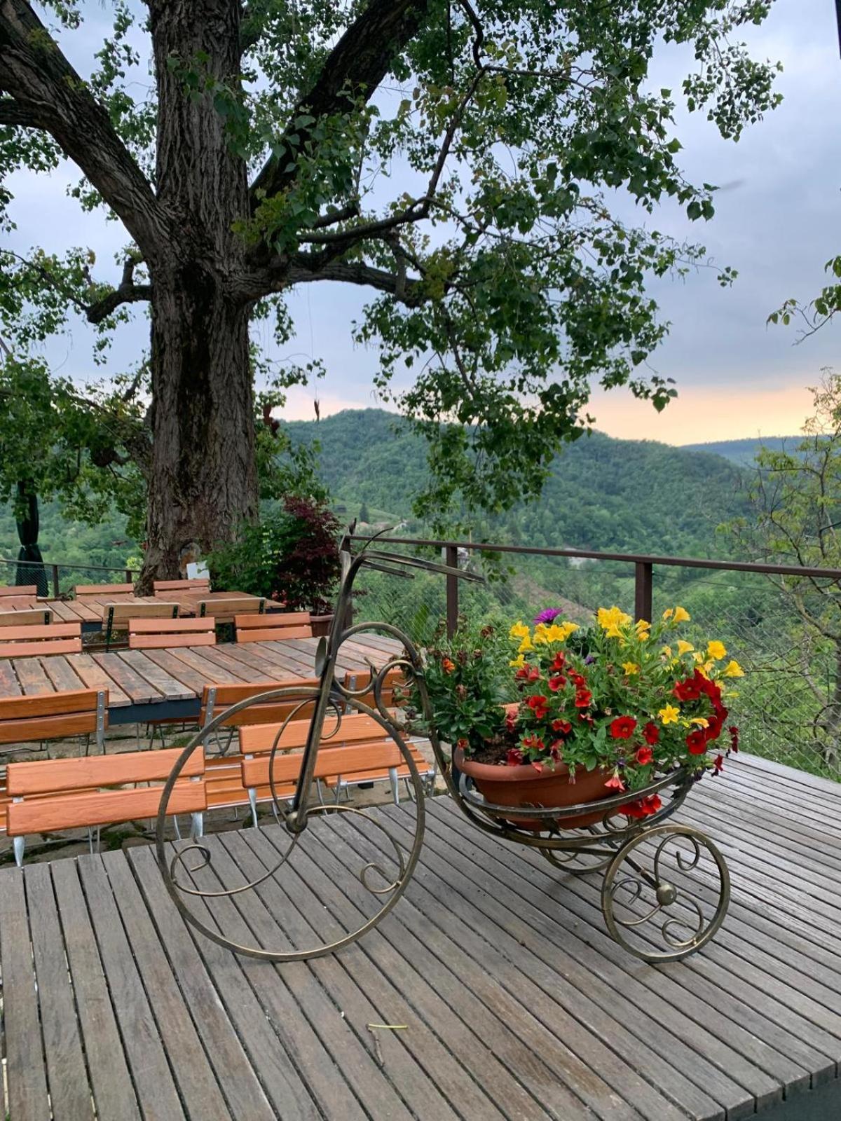 Agriturismo Le Noci Tarzo Dış mekan fotoğraf