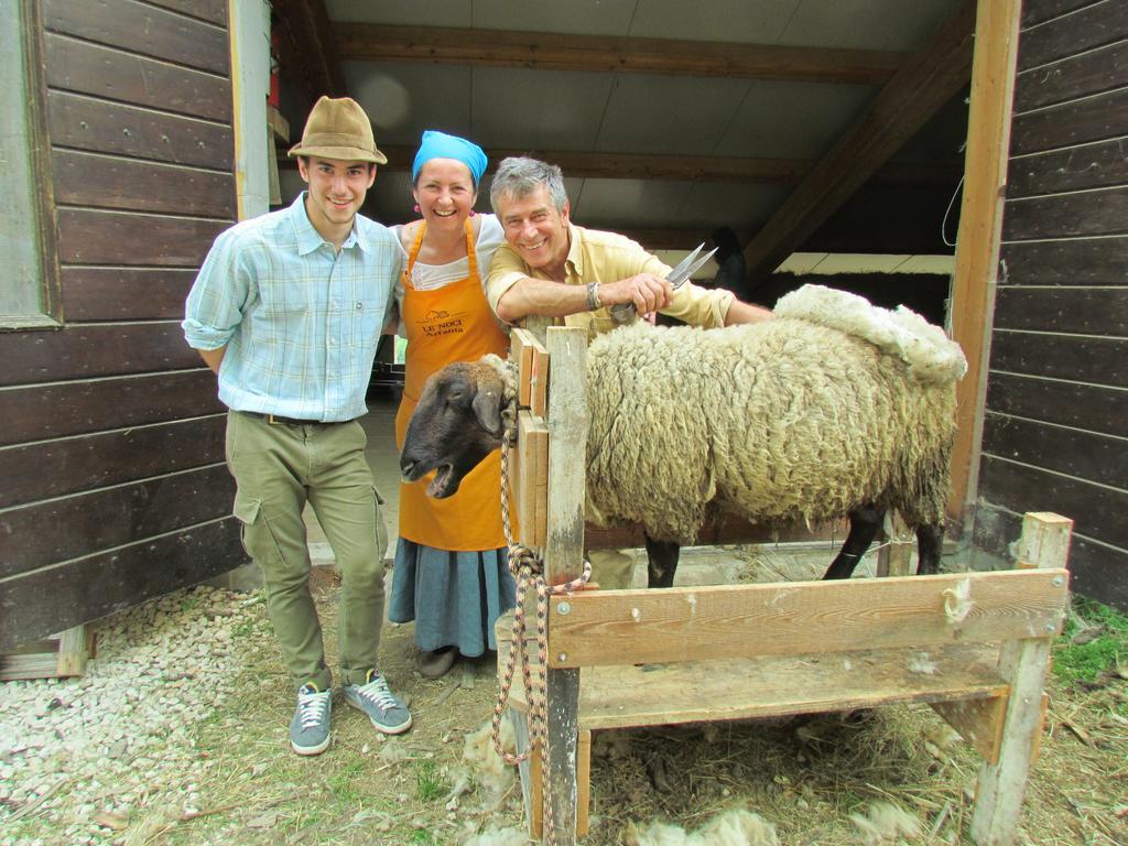 Agriturismo Le Noci Tarzo Dış mekan fotoğraf